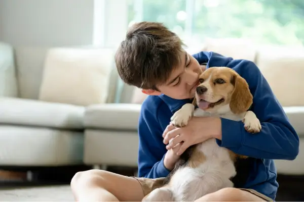 Como Adaptar Cães Adultos Resgatados